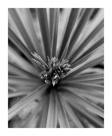 New Work Gallery 